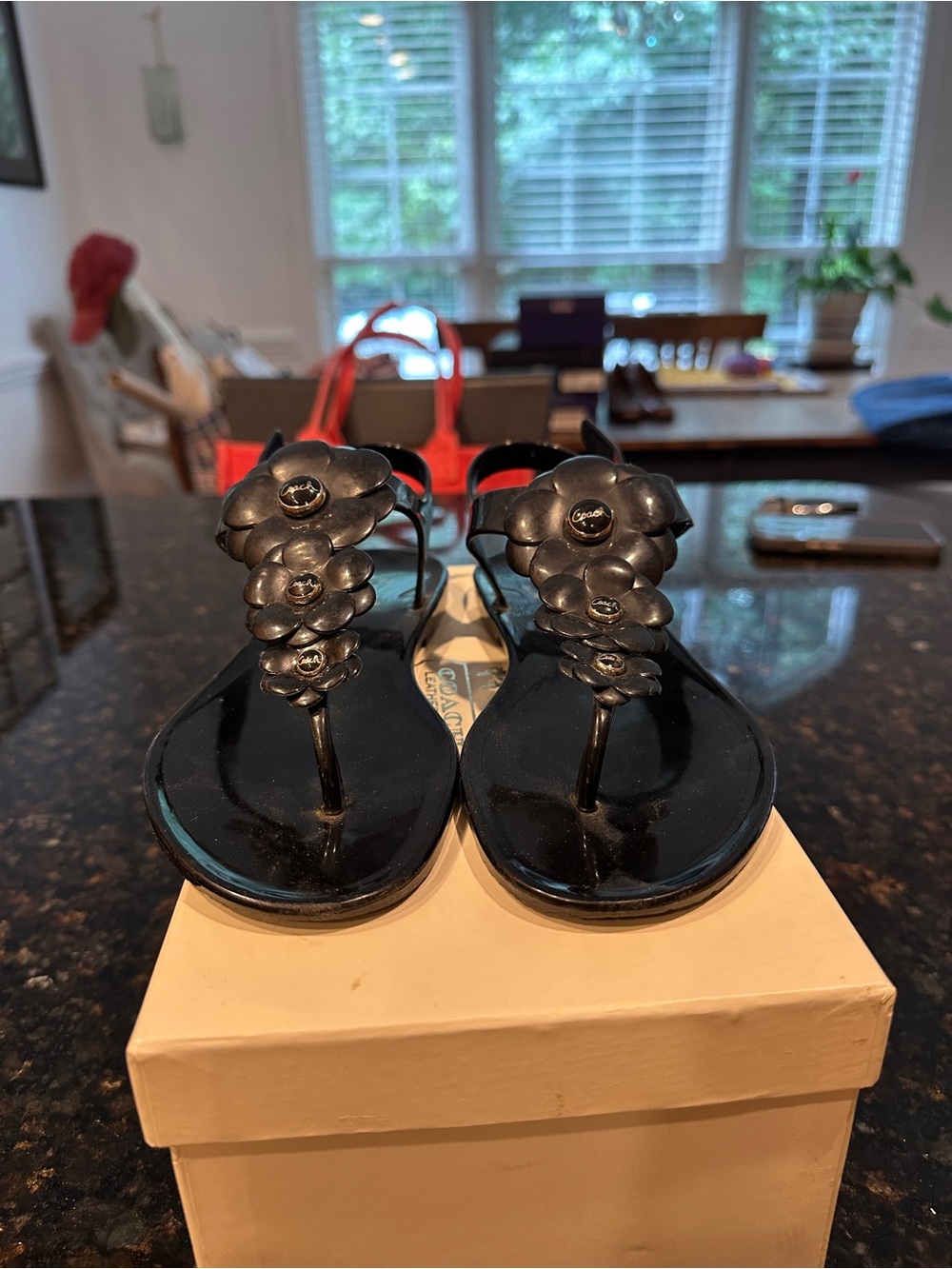 Coach Haylee Jelly Black Sandals